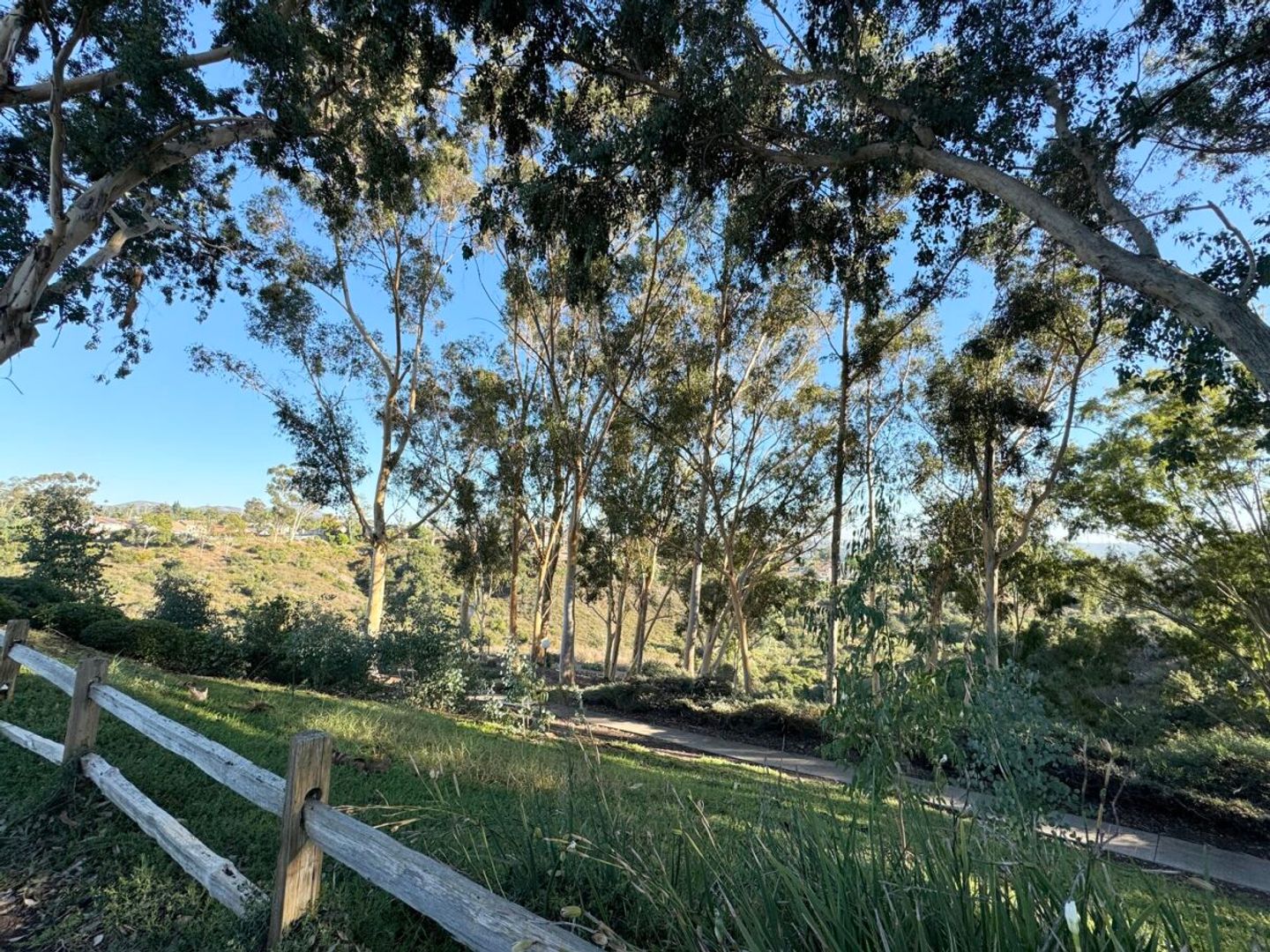 10885 Caravelle Place - San Diego - California - 3 bed, 2.5 bath rental property