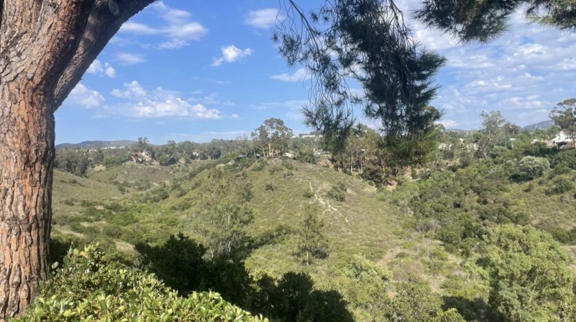 10885 Caravelle Place - San Diego - California - 3 bed, 2.5 bath rental property