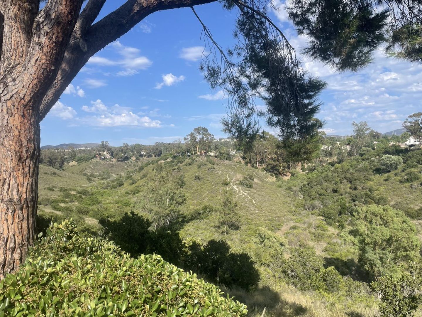 10885 Caravelle Place - San Diego - California - 3 bed, 2.5 bath rental property