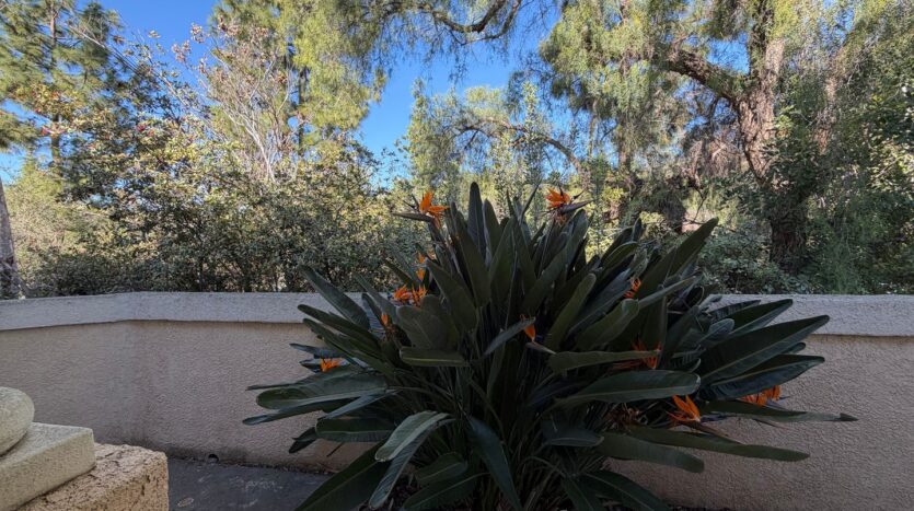 11970 Black Mountain Rd # 59 - San Diego - California - 3 bed, 2.5 bath rental property