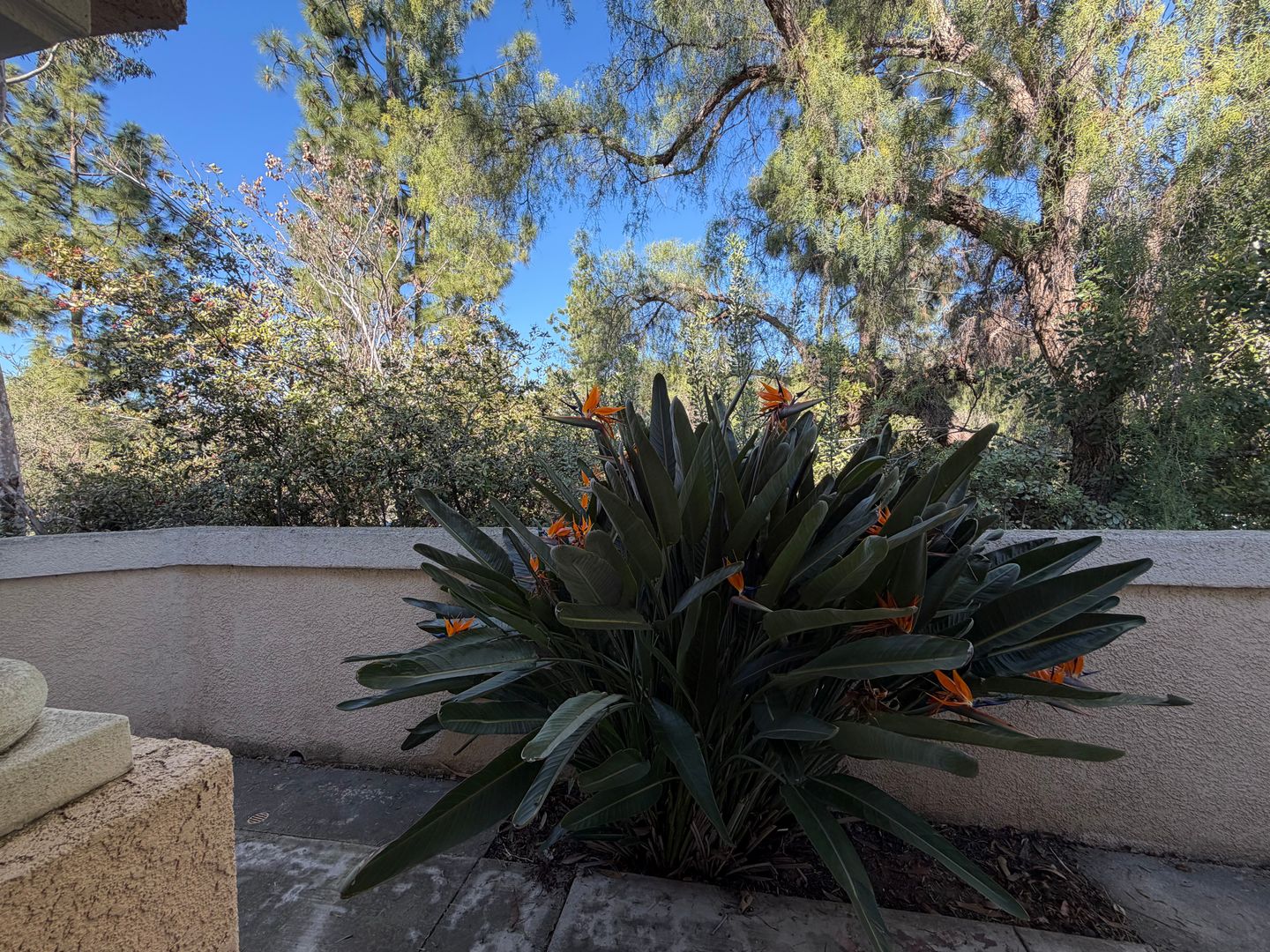 11970 Black Mountain Rd # 59 - San Diego - California - 3 bed, 2.5 bath rental property