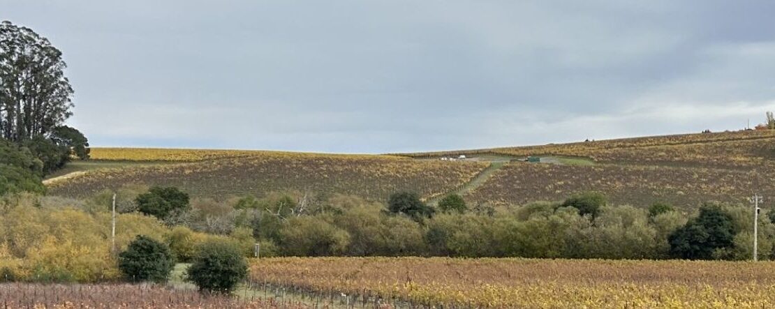 1800 Darby Road - Sebastopol - California - 3 bed, 2 bath rental property