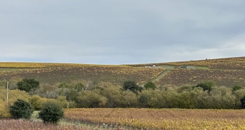 1800 Darby Road - Sebastopol - California - 3 bed, 2 bath rental property