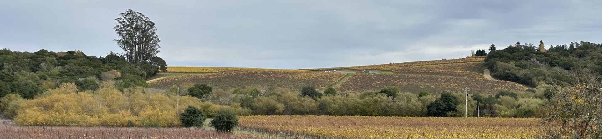 1800 Darby Road - Sebastopol - California - 3 bed, 2 bath rental property