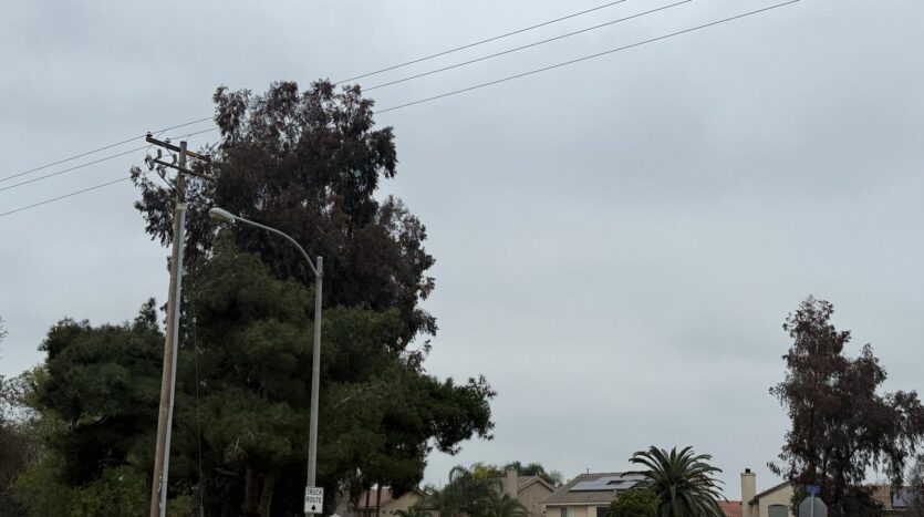 190 Lake Drive - Lemoore - California - 2 bed, 2 bath rental property