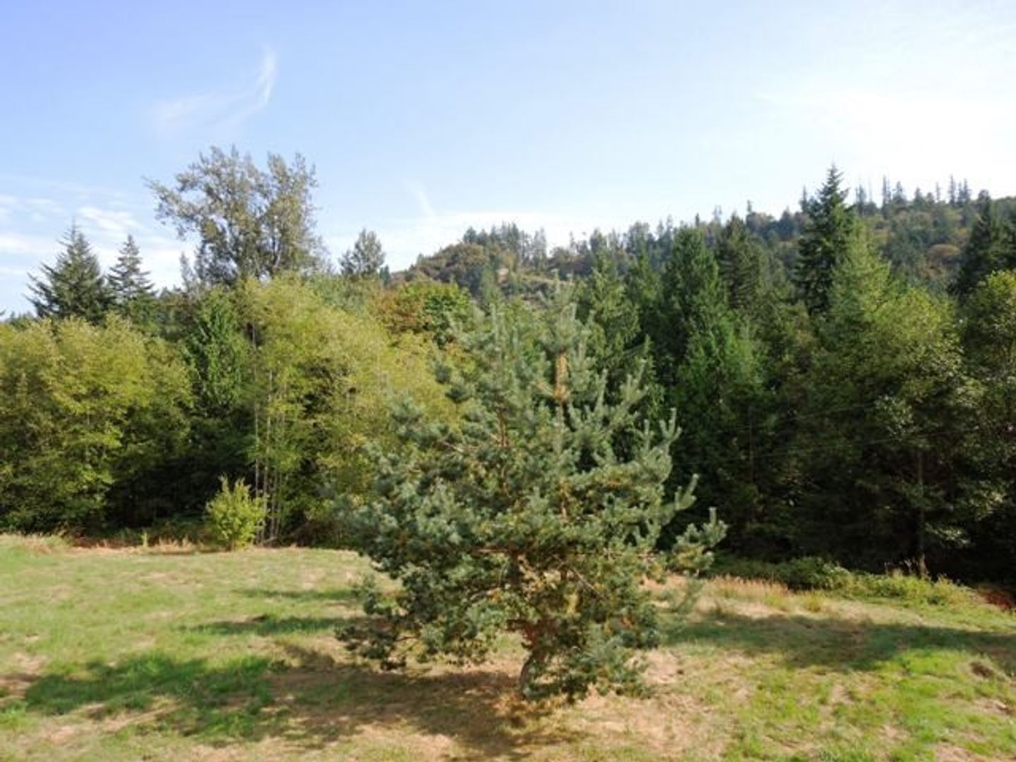 1923 MT Baker Hwy - Bellingham - Washington - 1 bed, 1 bath rental property