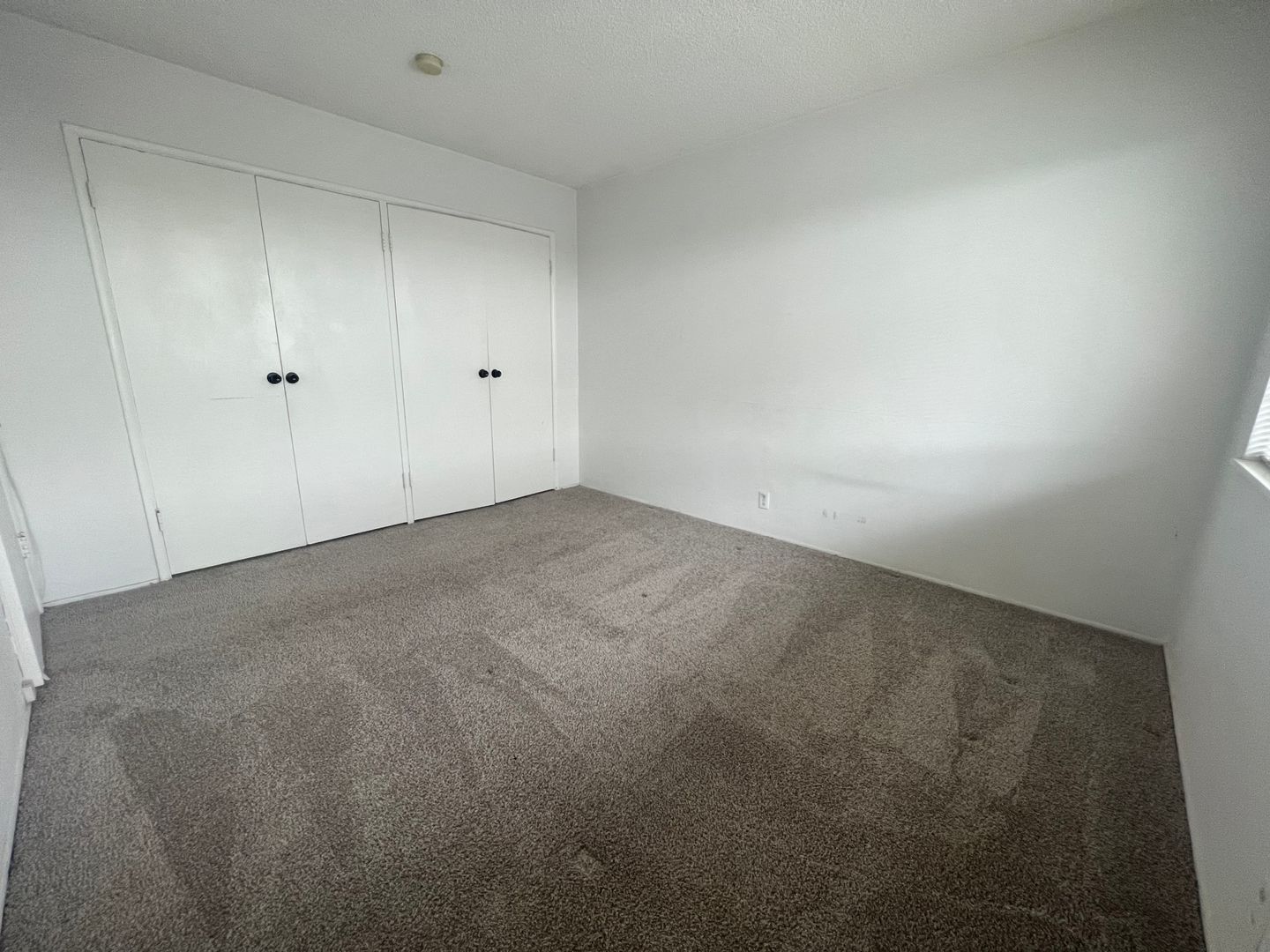 2225 Glenneyre St, #I - Laguna Beach - California - 2 bed, 1 bath rental property