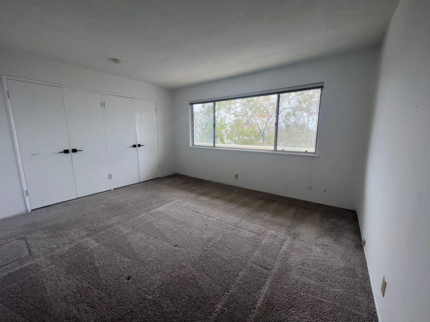 2225 Glenneyre St, #I - Laguna Beach - California - 2 bed, 1 bath rental property