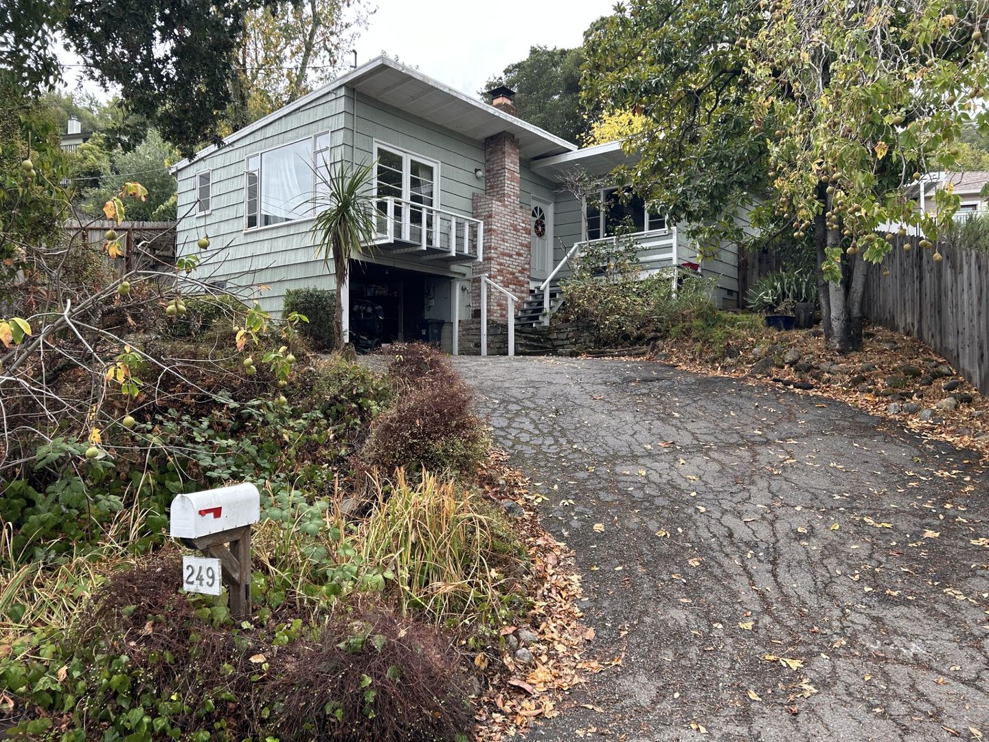 249 Prospect Drive - San Rafael - California - 2 bed, 1 bath rental property