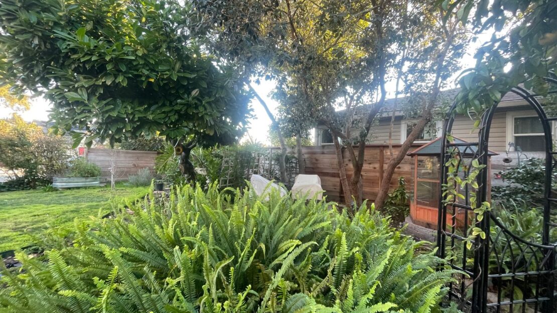 3987 Turnley Ave - Oakland - California - 4 bed, 2 bath rental property