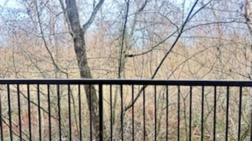 4018 Northwest Avenue - Bellingham - Washington - 1 bath rental property