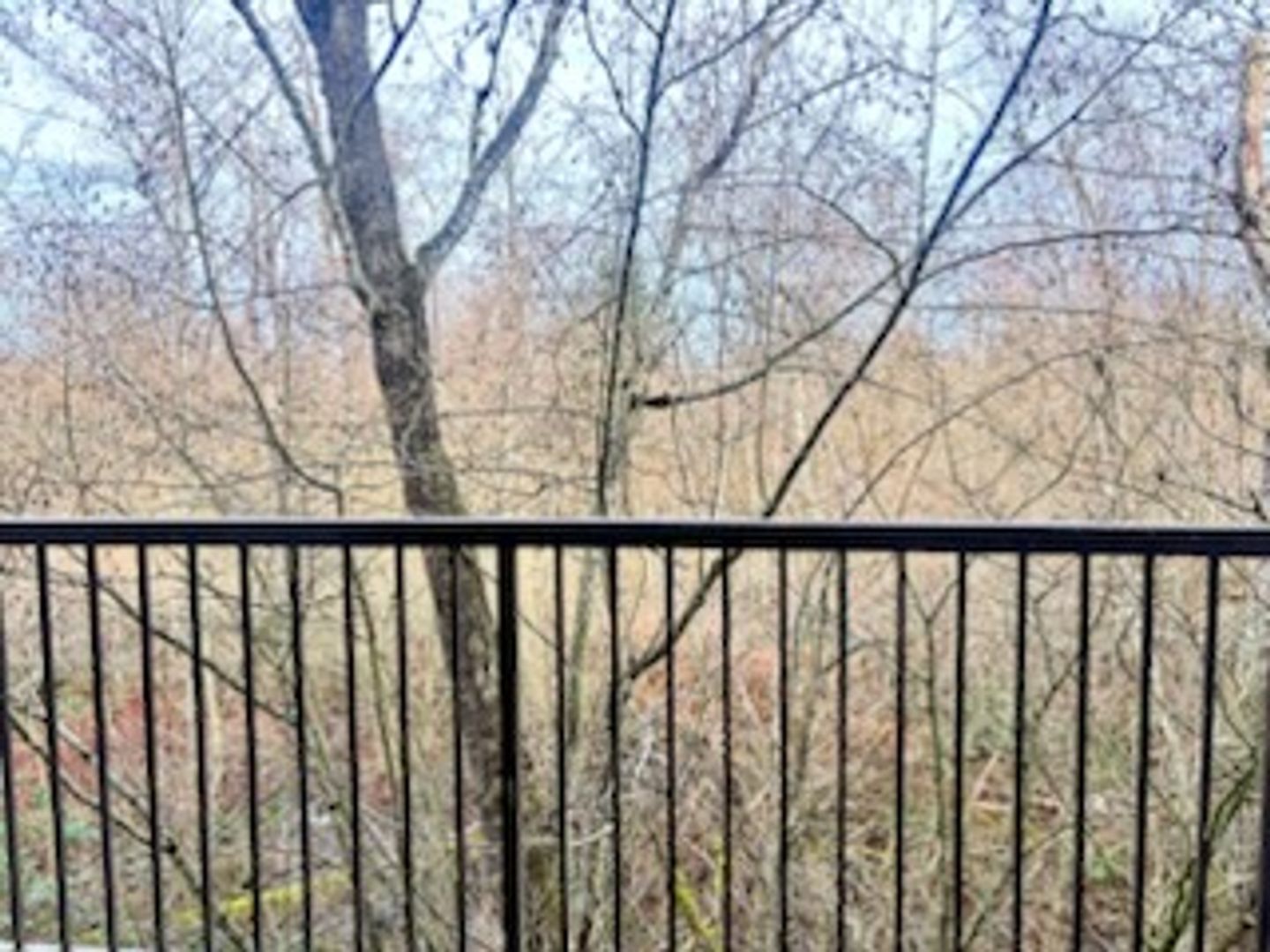 4018 Northwest Avenue - Bellingham - Washington - 1 bath rental property