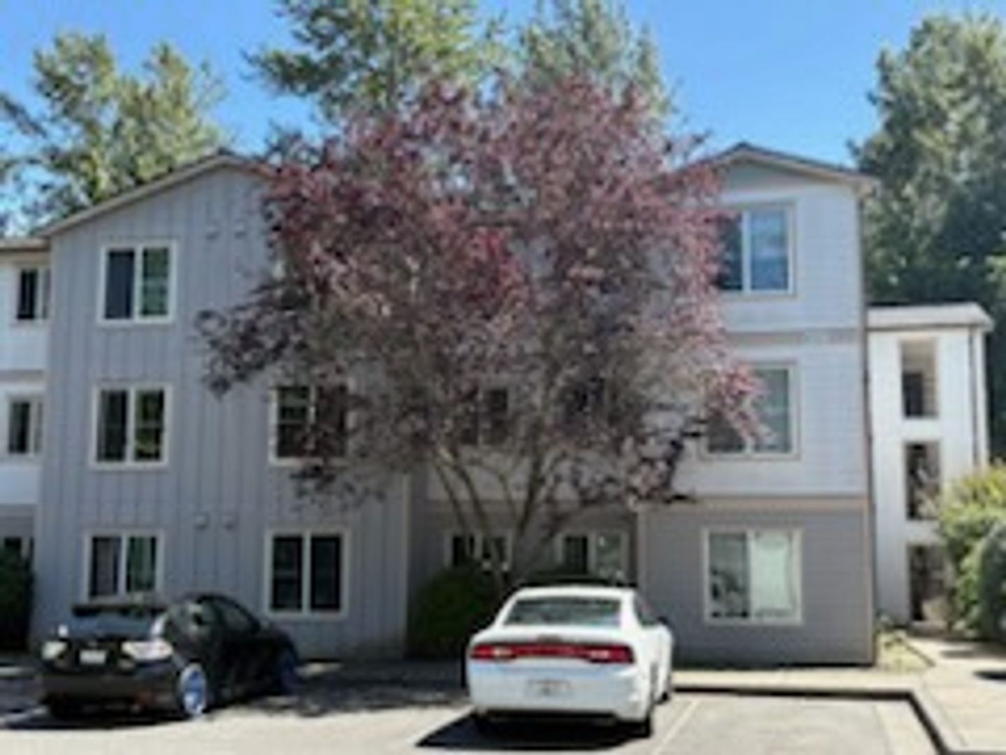 4018 Northwest Avenue - Bellingham - Washington - 2 bed, 2 bath rental property