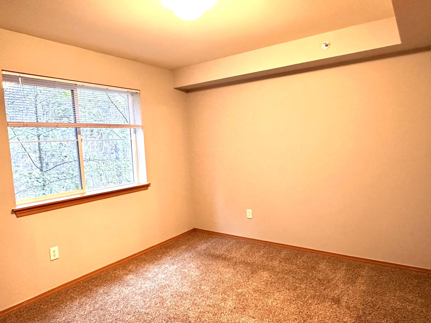 4018 Northwest Avenue - Bellingham - Washington - 2 bed, 2 bath rental property
