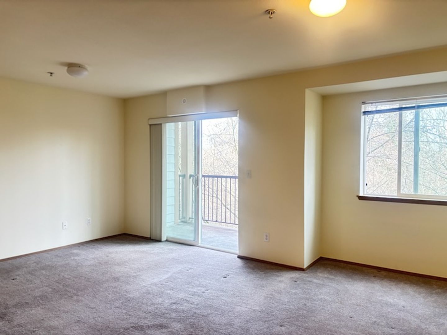 4018 Northwest Avenue - Bellingham - Washington - 1 bath rental property