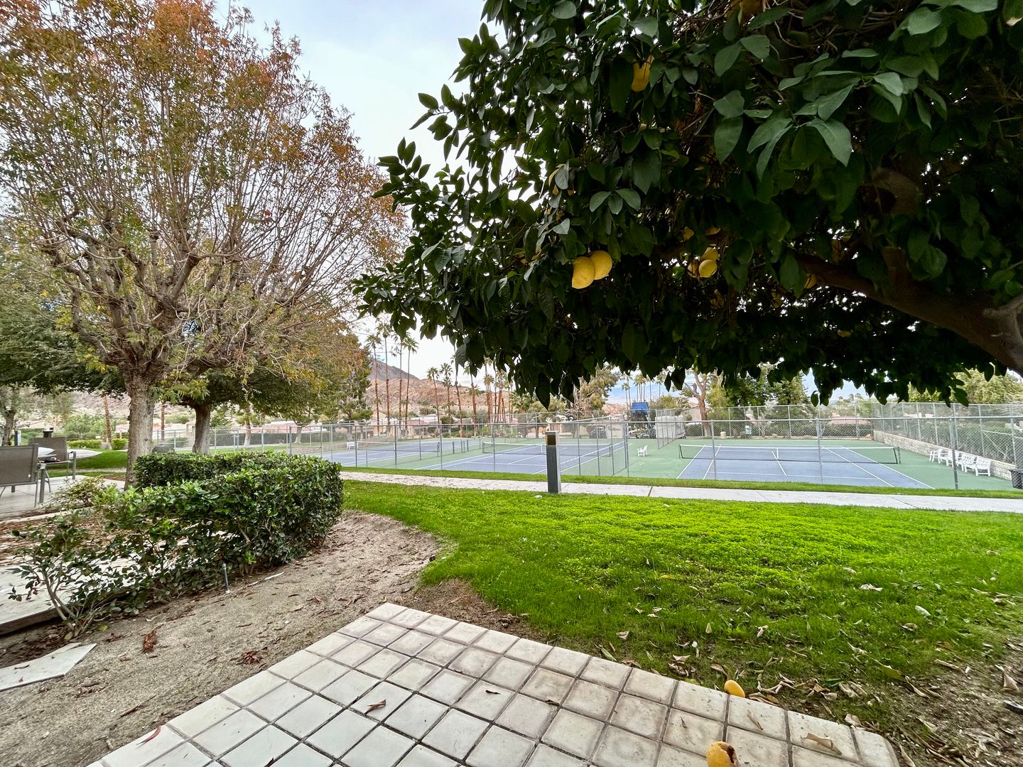 48668 Desert Flower Drive - Palm Desert - California - 2 bed, 1.5 bath rental property