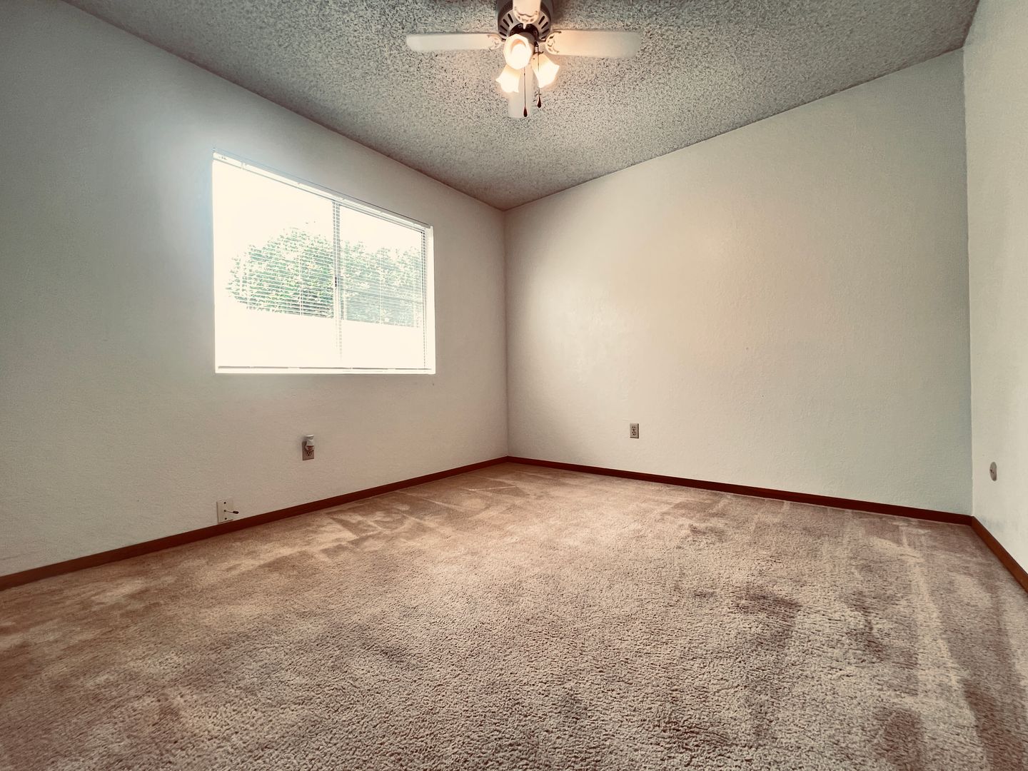 7976 Glenda Way - San Diego - California - 3 bed, 2 bath rental property