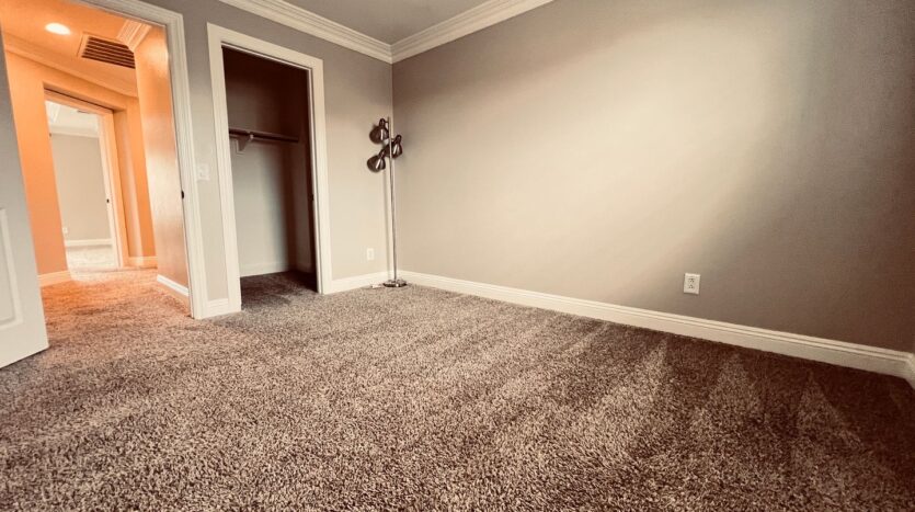 801 Luminara  - San Marcos - California - 4 bed, 3 bath rental property