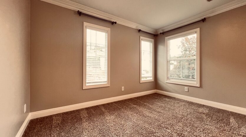 801 Luminara  - San Marcos - California - 4 bed, 3 bath rental property