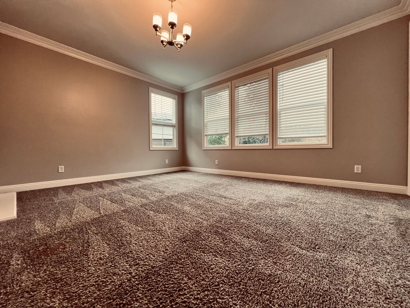 801 Luminara  - San Marcos - California - 4 bed, 3 bath rental property