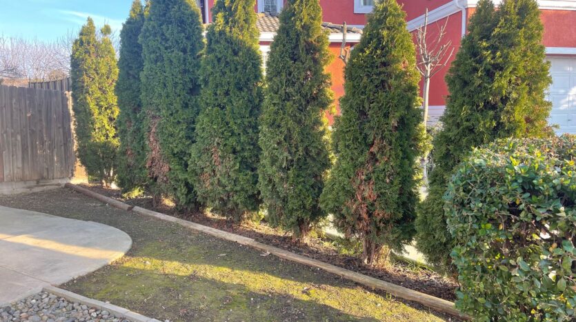 9516 San Marco Ct - Stockton - California - 4 bed, 2 bath rental property