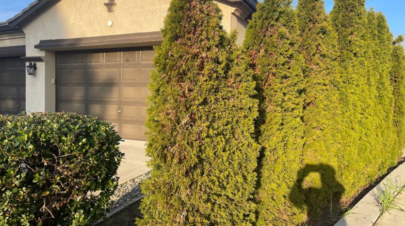 9516 San Marco Ct - Stockton - California - 4 bed, 2 bath rental property