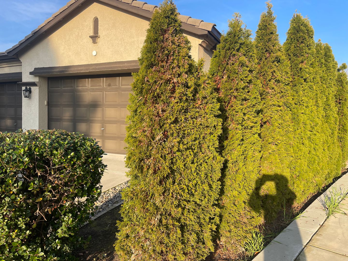 9516 San Marco Ct - Stockton - California - 4 bed, 2 bath rental property