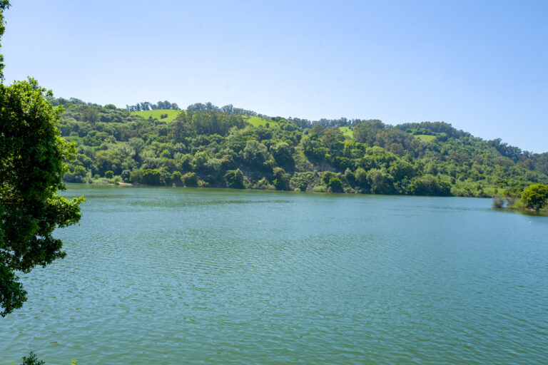 How Much Does Property Management Cost in San Leandro? (2026)
