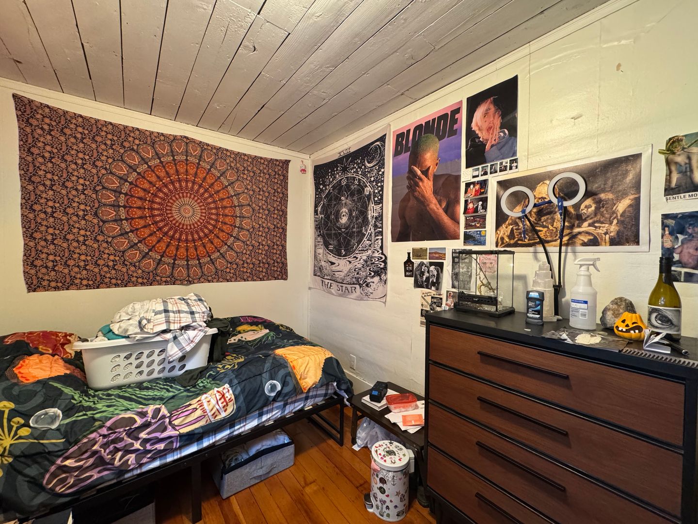 1108 12th Street - Bellingham - Washington - 5 bed, 1.5 bath rental property