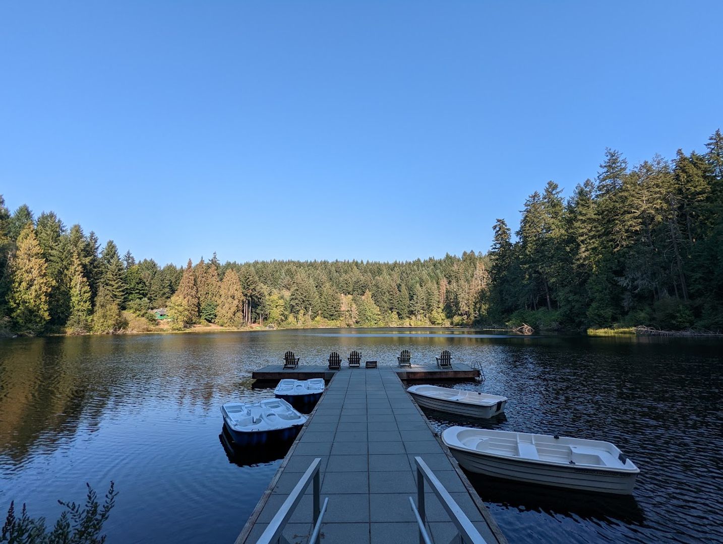 1546 Reservation Rd #271 - Olympia - Washington - 1 bed, 1 bath rental property