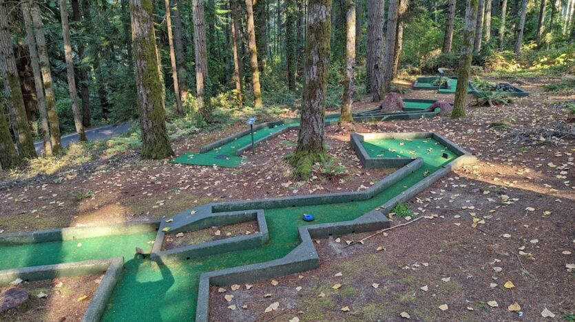 1546 Reservation Rd #271 - Olympia - Washington - 1 bed, 1 bath rental property