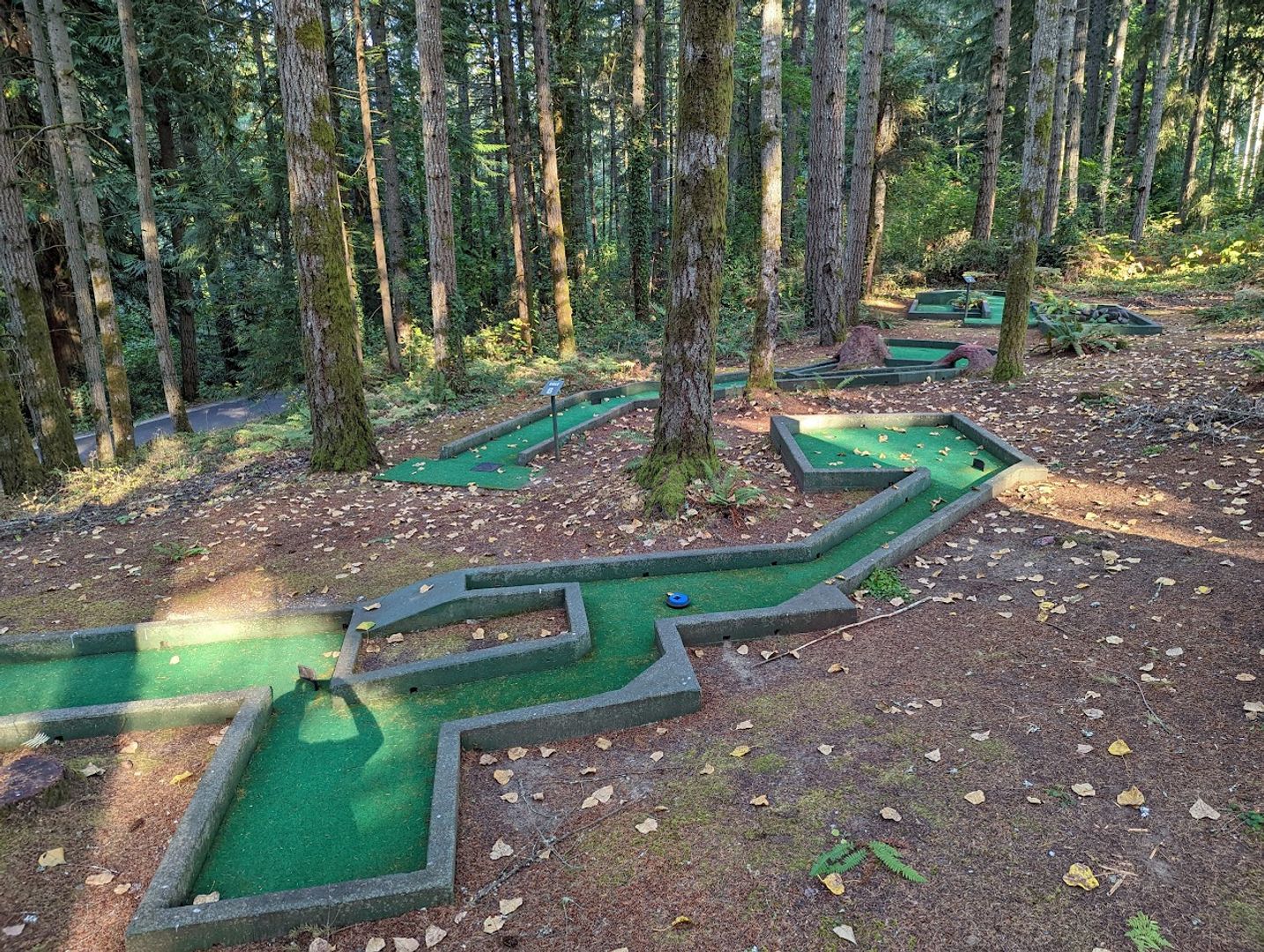 1546 Reservation Rd #271 - Olympia - Washington - 1 bed, 1 bath rental property