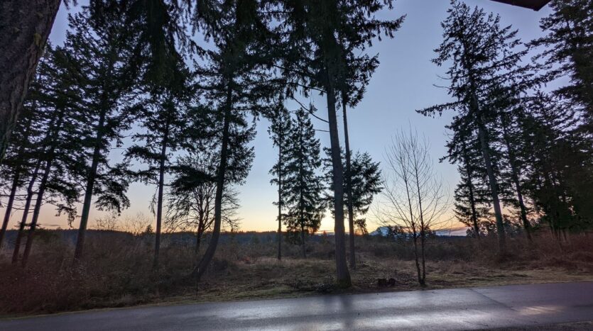 1546 Reservation Rd #271 - Olympia - Washington - 1 bed, 1 bath rental property