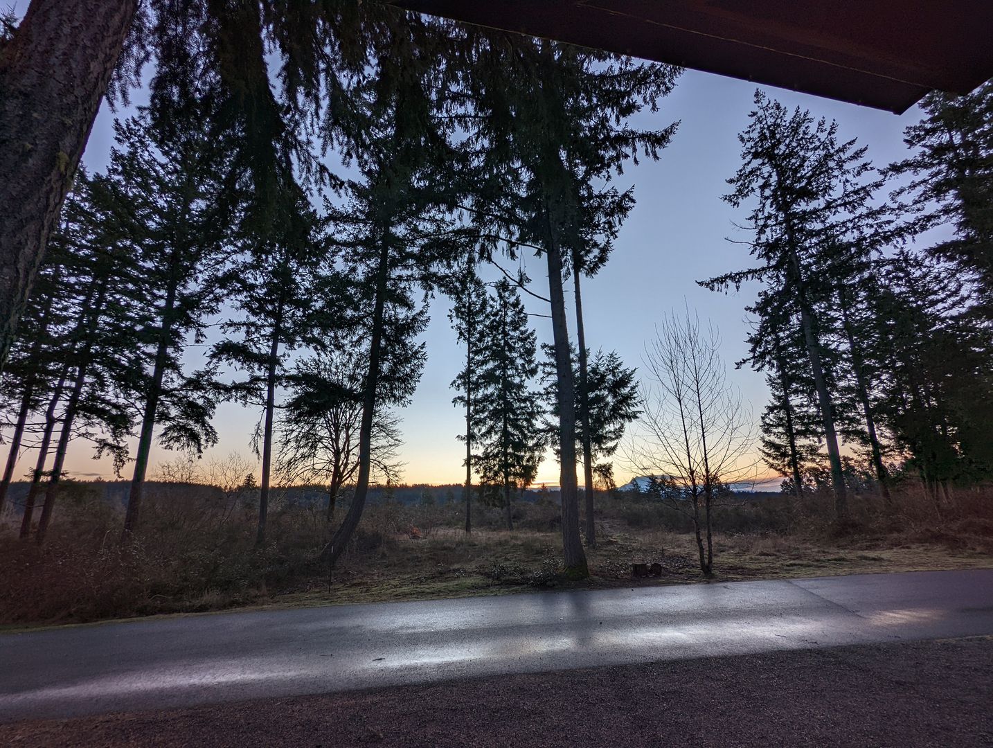 1546 Reservation Rd #271 - Olympia - Washington - 1 bed, 1 bath rental property