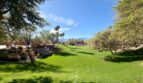 206 Paseo Gusto - Palm Desert - California - 4 bed, 3 bath rental property