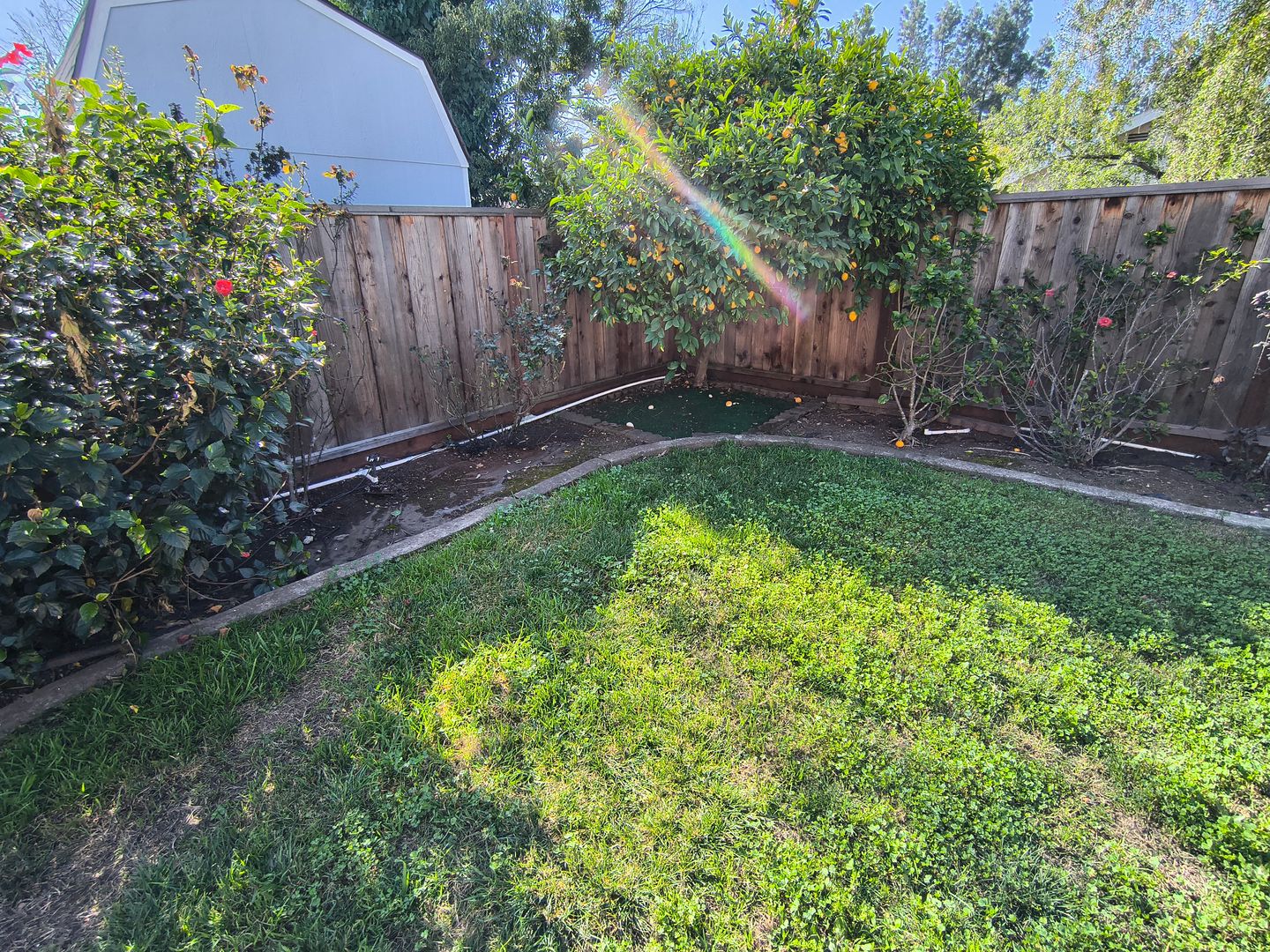 2077 Mesa Verde Dr - Milpitas - California - 4 bed, 3 bath rental property