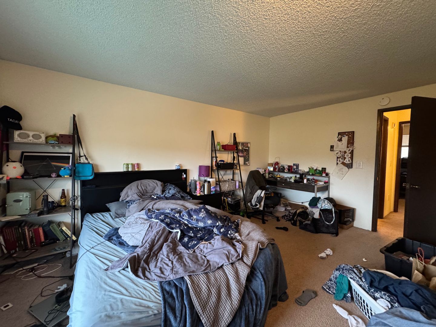 2111 Knox Ave. - 9 - Bellingham - Washington - 2 bed, 1.5 bath rental property