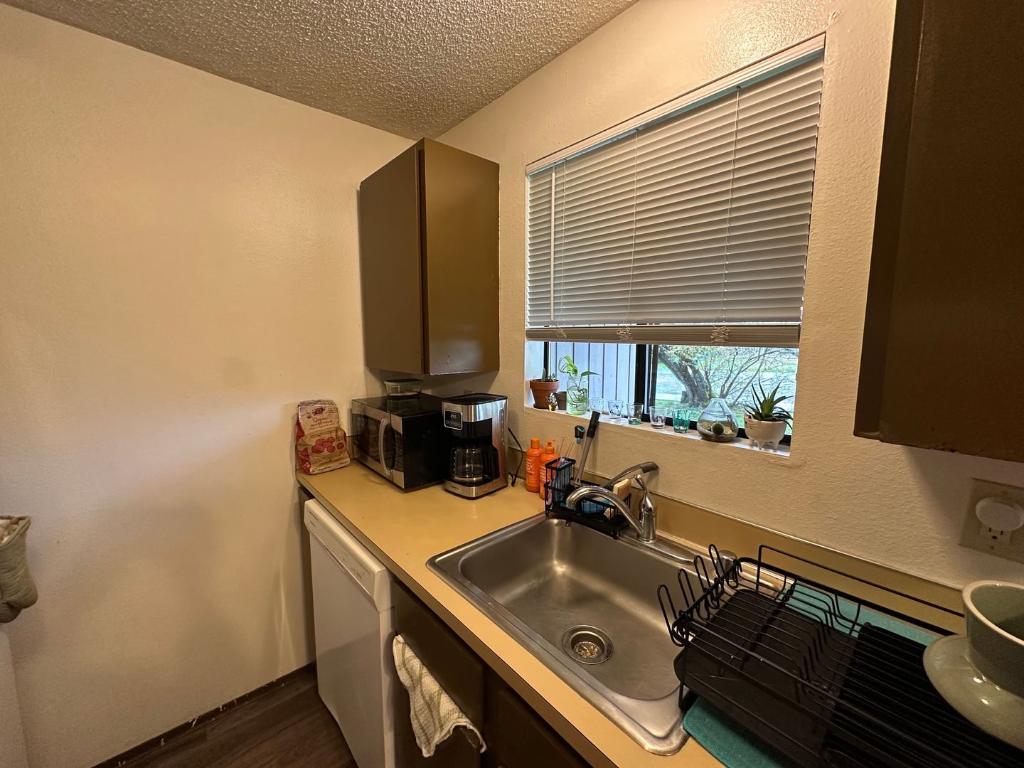 2328 Queen St. - 5 - Bellingham - Washington - 1 bed, 1 bath rental property