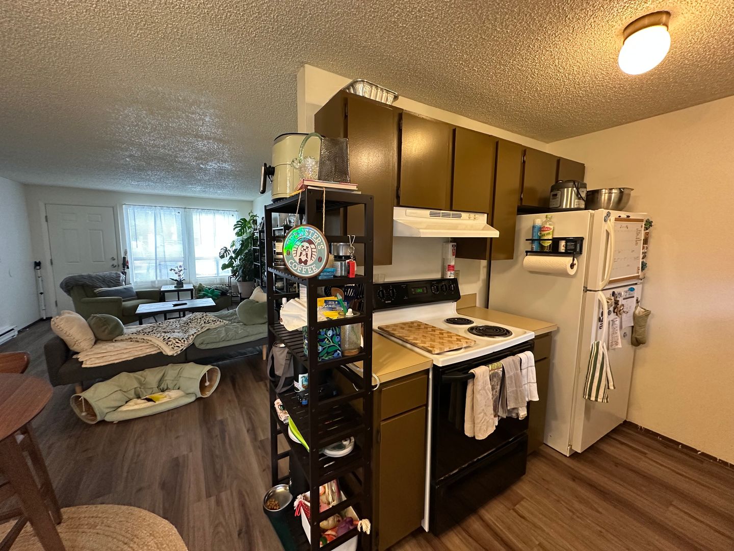 2328 Queen St. - 5 - Bellingham - Washington - 1 bed, 1 bath rental property