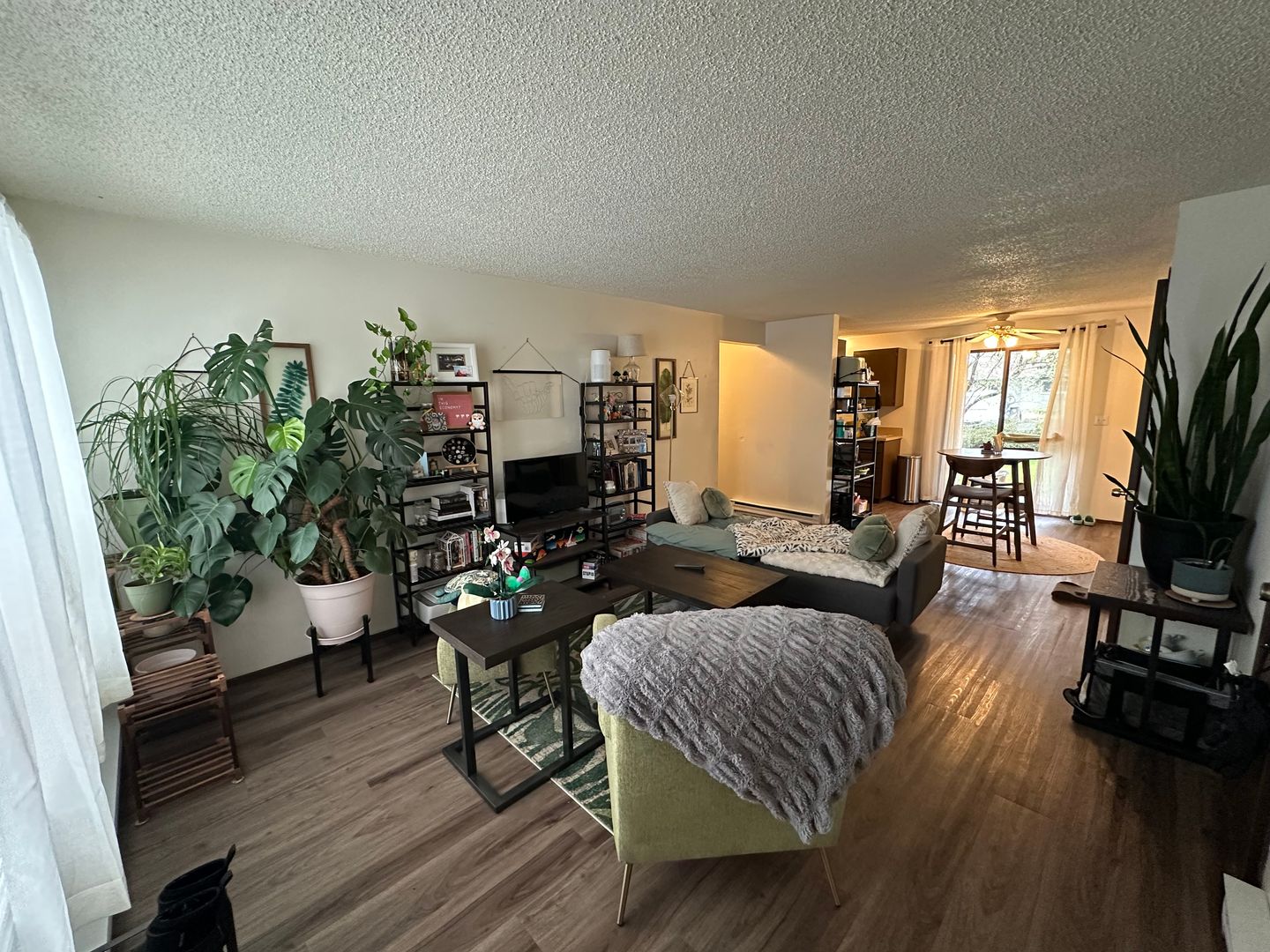 2328 Queen St. - 5 - Bellingham - Washington - 1 bed, 1 bath rental property