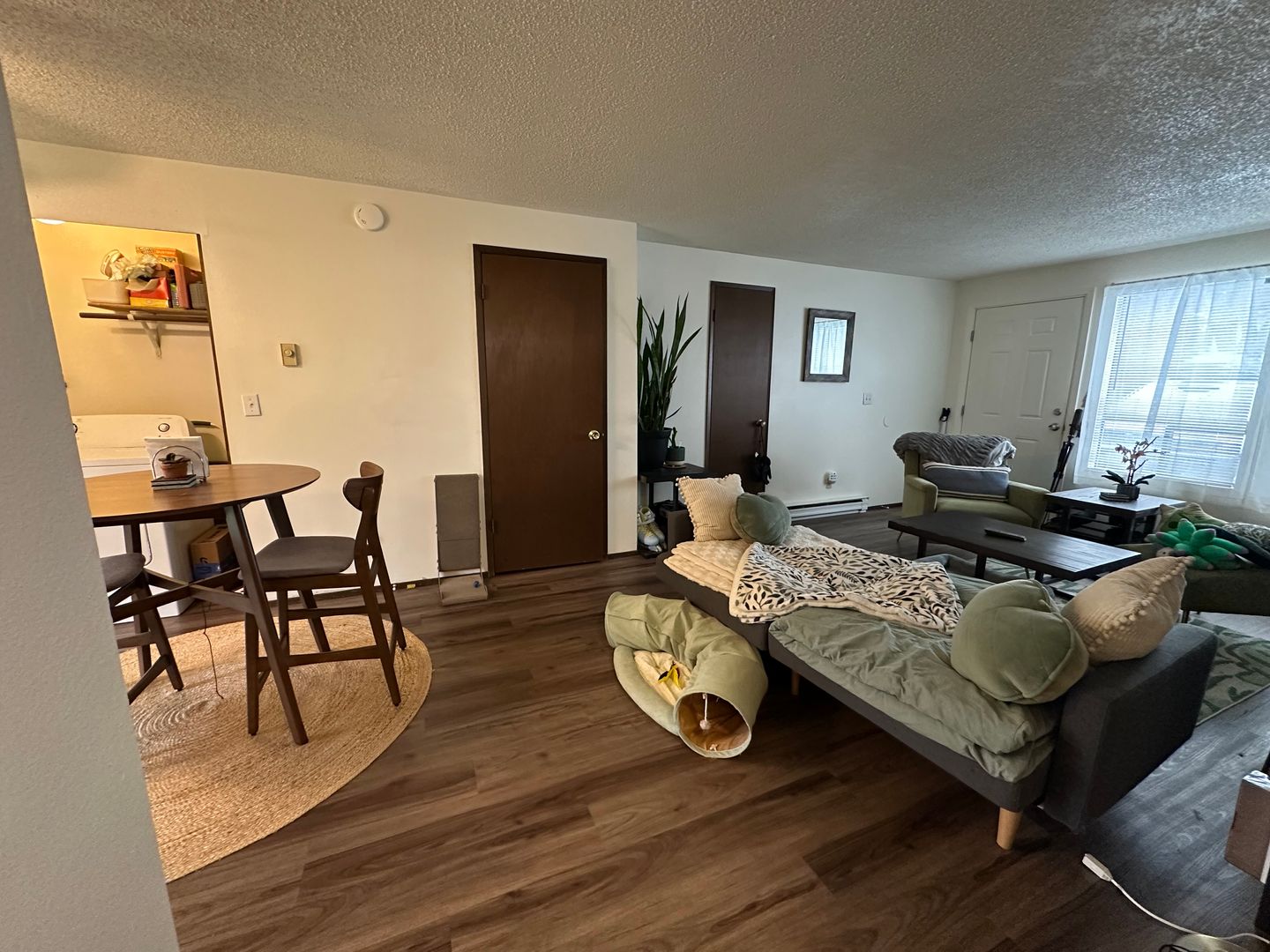 2328 Queen St. - 5 - Bellingham - Washington - 1 bed, 1 bath rental property