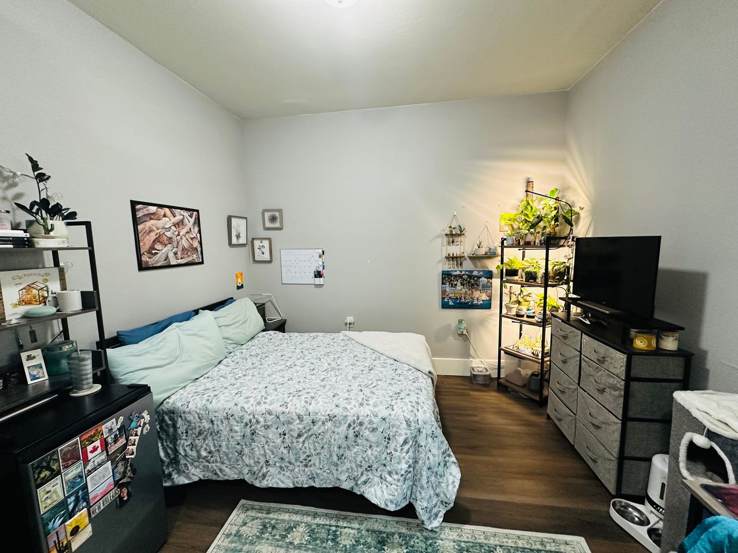 2408 Xenia St - Bellingham - Washington - 4 bed, 2 bath rental property