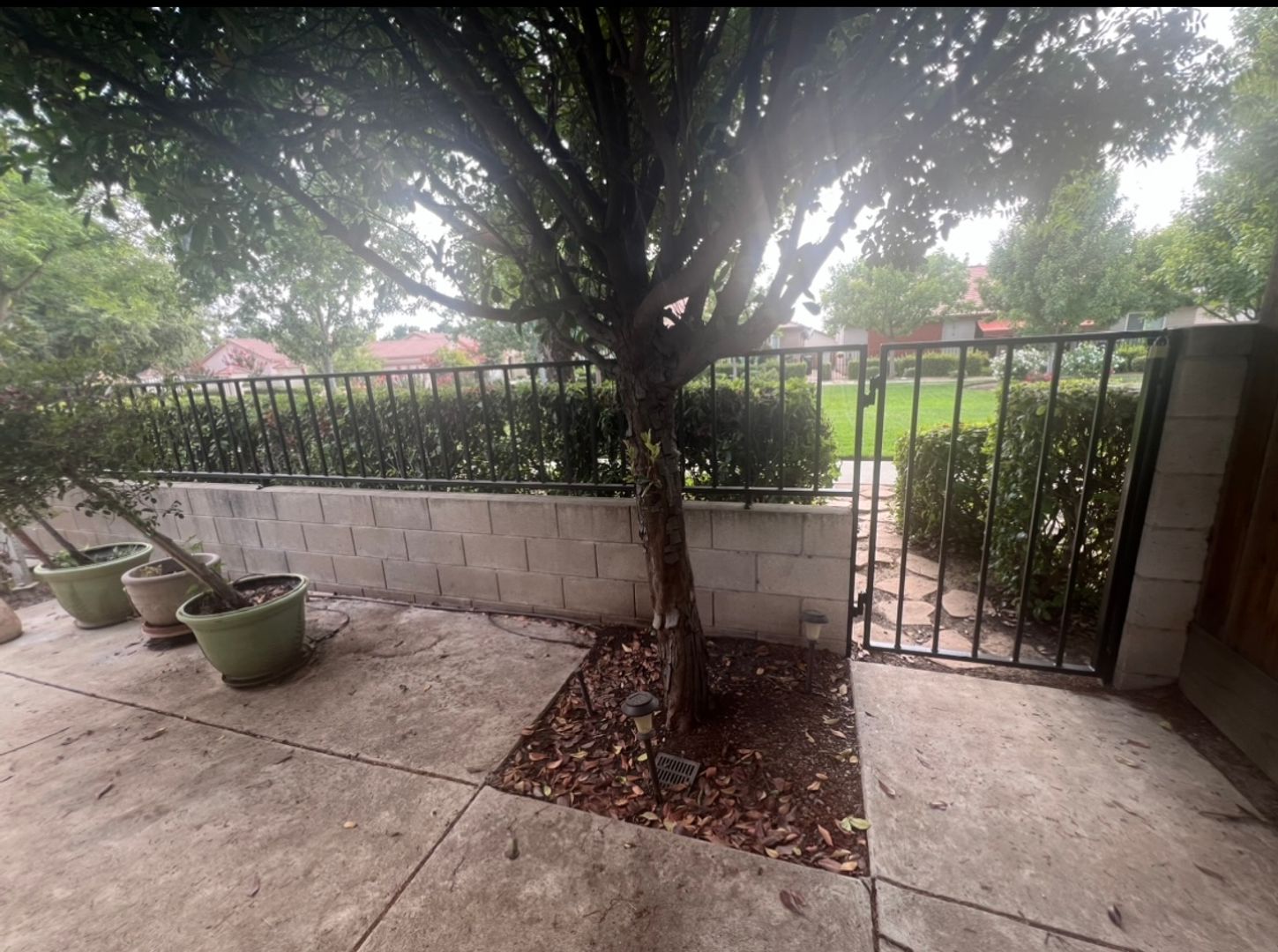 2455 E Marquise Ct  - Fresno - California - 3 bed, 2.5 bath rental property