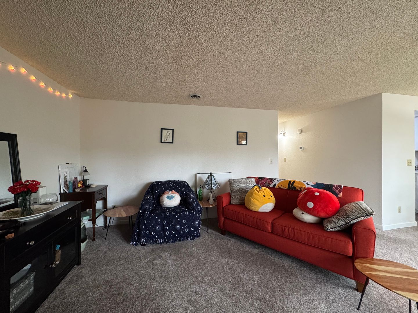 3104 Bill McDonald Parkway D203 - Bellingham - Washington - 2 bed, 1 bath rental property