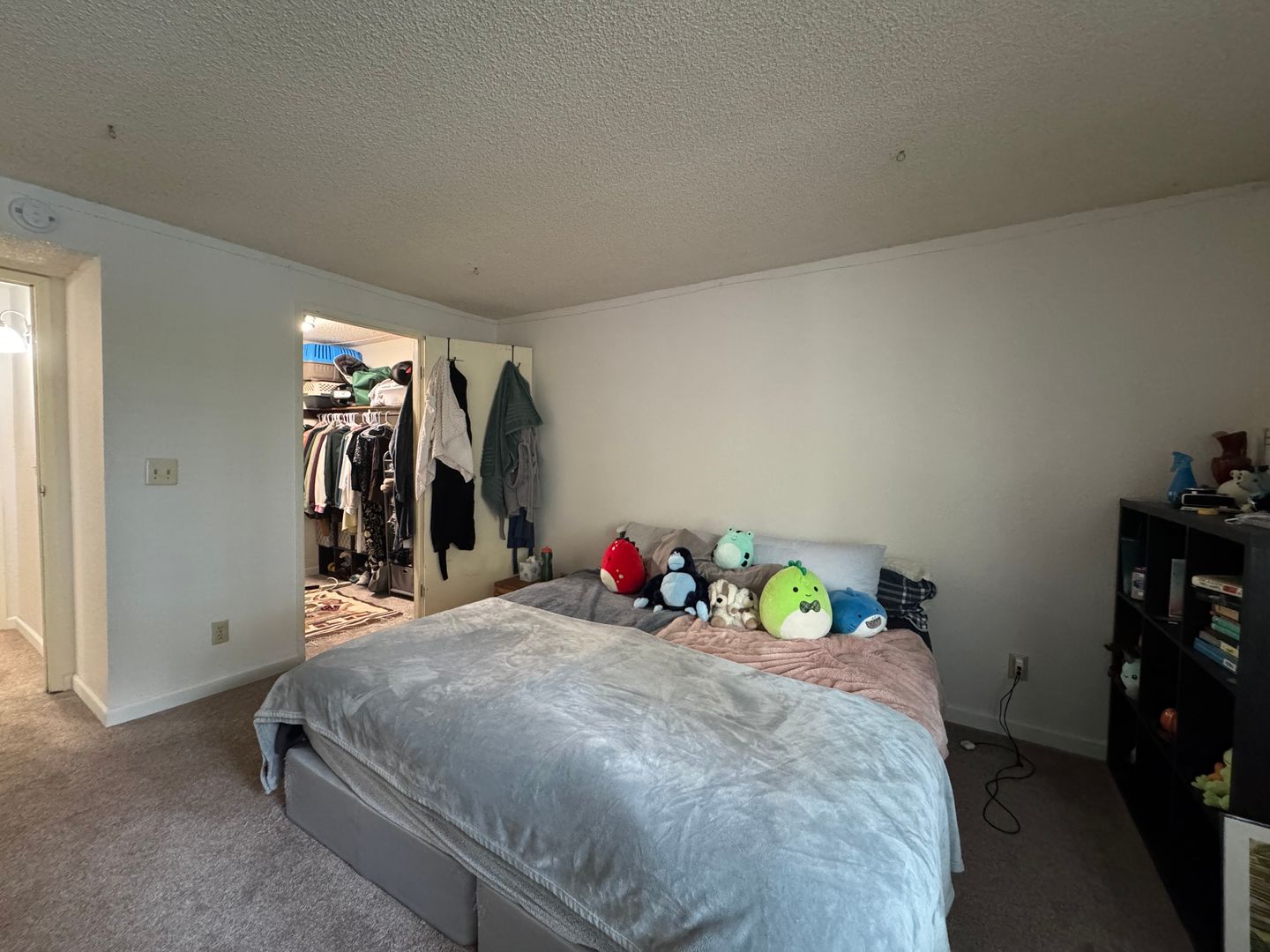 3104 Bill McDonald Parkway D203 - Bellingham - Washington - 2 bed, 1 bath rental property