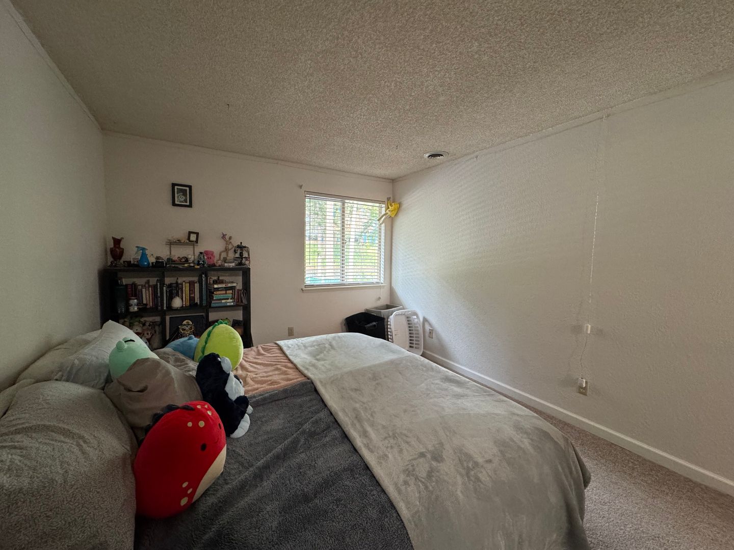 3104 Bill McDonald Parkway D203 - Bellingham - Washington - 2 bed, 1 bath rental property