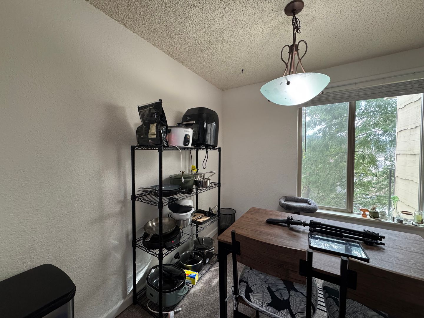 3104 Bill McDonald Parkway D203 - Bellingham - Washington - 2 bed, 1 bath rental property