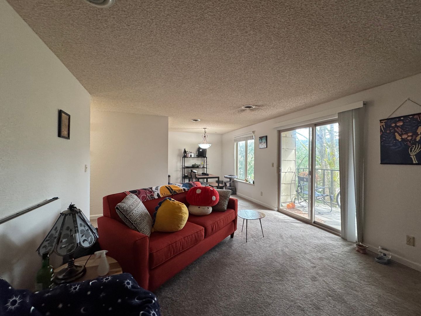 3104 Bill McDonald Parkway D203 - Bellingham - Washington - 2 bed, 1 bath rental property