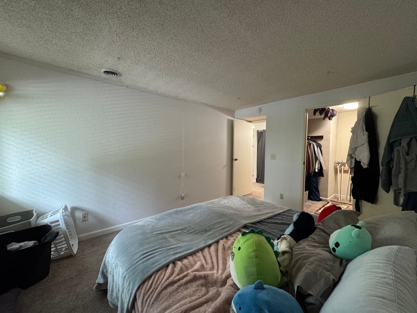 3104 Bill McDonald Parkway D203 - Bellingham - Washington - 2 bed, 1 bath rental property