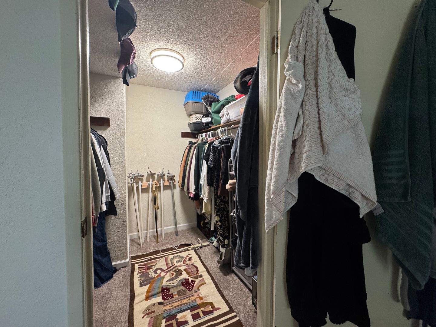 3104 Bill McDonald Parkway D203 - Bellingham - Washington - 2 bed, 1 bath rental property